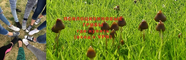 герыч Алексеевка