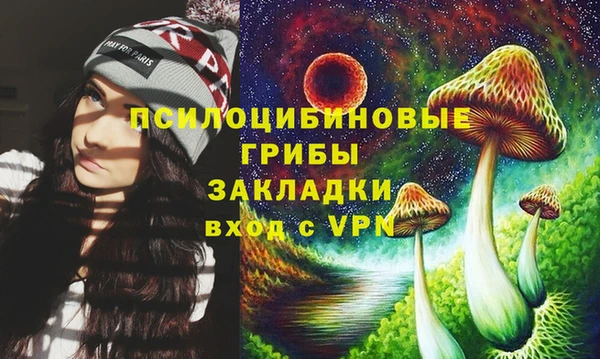 молекула духа Заводоуковск