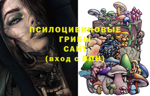 винт Алзамай