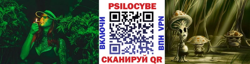 Галлюциногенные грибы мицелий  наркошоп  гидра как зайти  Лахденпохья 